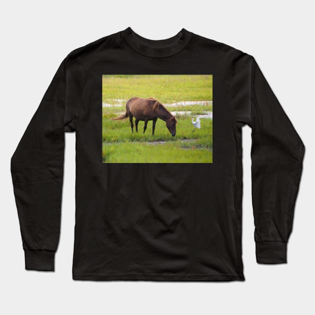 Assateague Pony and Cattle Egret in the Marsh Long Sleeve T-Shirt by Swartwout